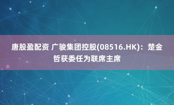 唐股盈配资 广骏集团控股(08516.HK)：楚金哲获委任为联席主席